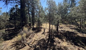 Lot 12 Whitetail Lane, Bonanza, OR 97623