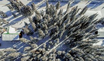 229 Lee Ln, Breckenridge, CO 80424