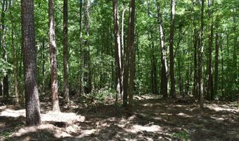 6 Gray Academy Rd Lot 6, Ashland, MS 38603