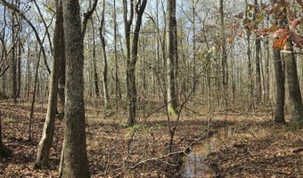 Yatesville Road, Barnesville, GA 30204