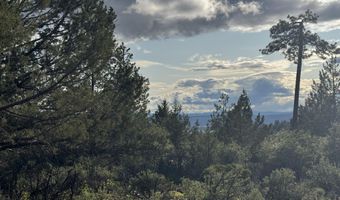 Lot 14 Grizzly Lane, Bonanza, OR 97623
