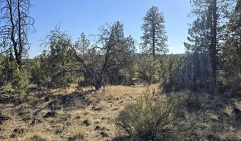 Blue Heron Drive, Bonanza, OR 97623