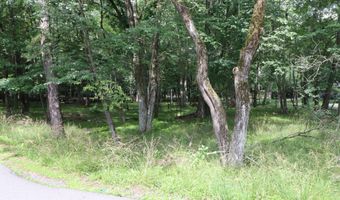 Long Brook Way & Woodland Road, Albrightsville, PA 18210