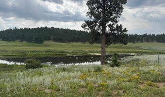 Whymans Black Lake Estates lot 39, Angel Fire, NM 87710