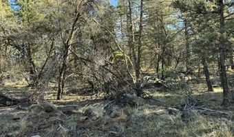 Bunting Drive, Bonanza, OR 97623