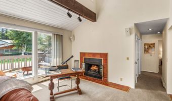 1275 Snowbunny Lane 2, Aspen, CO 81611