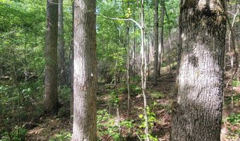 0 CR 77, Ashland, AL 36251