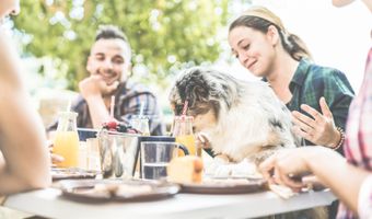 852 Leni Way Plan: Columbia, Aberdeen, MD 21001