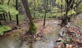 Mcbroom Branch Rd, Baxter, TN 38544