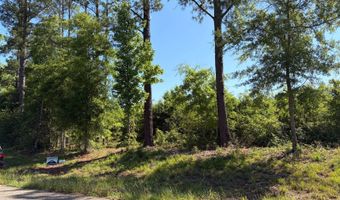 006 Rose Hill Rd 006, Andalusia, AL 36028