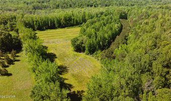 Beech Bluff Road, Beech Bluff, TN 38313
