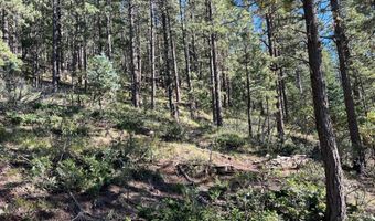 141 Afv N Back Basin Rd, Angel Fire, NM 87710