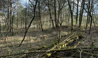5 Acres Hwy 415, Albany, KY 42602