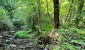 Coperas Cave Branch, Beattyville, KY 41311