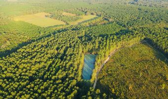 644 Ash-harrel Loop, Abbeville, GA 31001