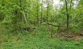 15252 27 Mile Rd, Albion, MI 49224