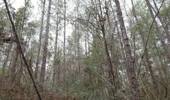 TBD Hwy. 29, Brooklyn, MS 39425