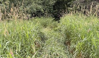 xxx Benson Rd, Alborn, MN 55702