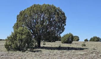 Ten Tanks Rd lot 6, Ash Fork, AZ 86320