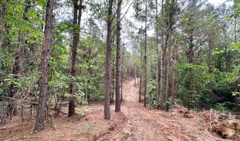 3 County Road 5112, Ethel, MS 38829