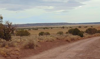 42 N5576, Concho, AZ 85924