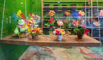 703 E WESTERN Ave, Avondale, AZ 85323