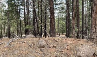 N. Overland Dr, Alturas, CA 96101