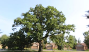 4878 Lone Oak Ct 20, Ann Arbor, MI 48108