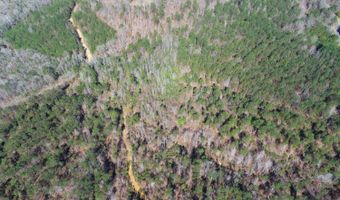Adams Road - 1 & 2, Bankston, AL 35542