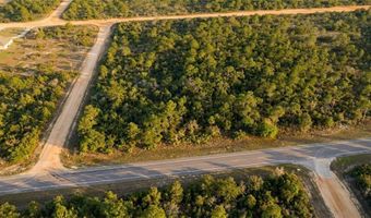 02-2 N 11-0083-00P0-0310 Fairview Rd, Alford, FL 32420