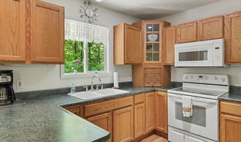 8134 NW Ruttan Rd, Alden, MI 49612