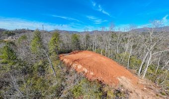 430 Live Oak Ter, Andrews, NC 28901