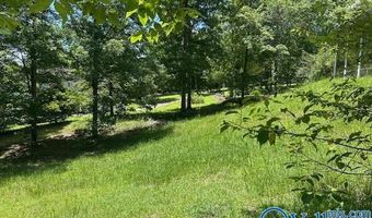 251 County Road 3941, Arley, AL 35541