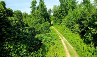 Todd Road, Advance, NC 27006