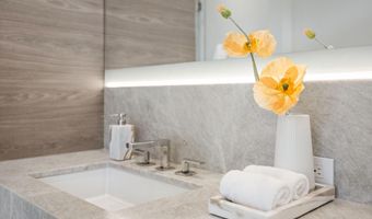 219 W Bleeker St, Aspen, CO 81611