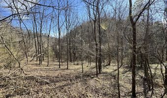 1135 Ned Clark Rd, Bean Station, TN 37708