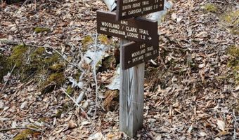 0 Clarks/Woodland Trl 409-4, Alexandria, NH 03220