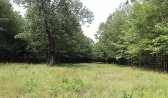 TBD CR 4670, De Kalb, TX 75559