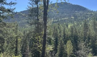 5784 River Rd, Clark Fork, ID 83811