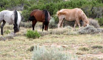nhn Deadman Creek Road lot 7, Bridger, MT 59014