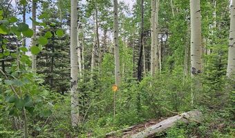 4566 Middle Mountain Rd, Bayfield, CO 81122