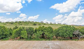 141 Overlook Dr, Aledo, TX 76008