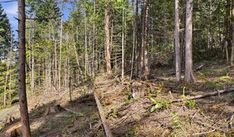 NW Green Mountain Rd 1, Banks, OR 97106