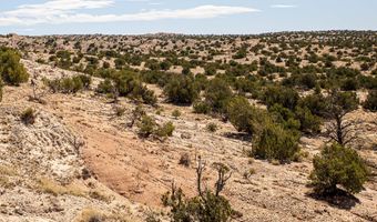 El Rito Estates, Abiquiu, NM 87510