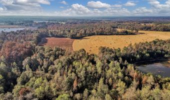 0 County Road 127, Banks, AL 36005