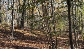 33 Eagle Rdg, Ball Ground, GA 30107