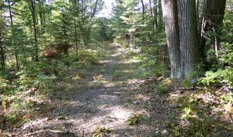 V/L 30AC Lake Winyah Road, Alpena, MI 49707