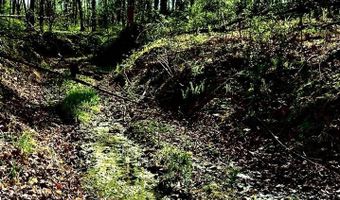 1361 Walkers Chapel Rd, Adolphus, KY 42120
