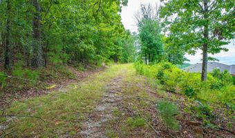 100 Block SPANISH MINE, Jessieville, AR 71909
