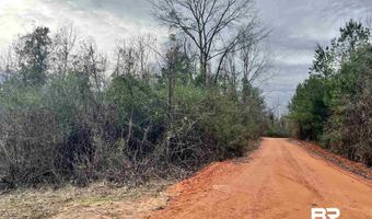 21000 Block Highway 21, Beatrice, AL 36425
